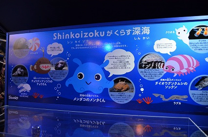 シンカイゾク パネル 新江ノ島水族 神奈川県藤沢市.jpg