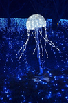 光の海 クラゲ さがみ湖イルミリオン 相模湖プレジャーフォレスト.jpg