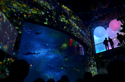花と魚 相模湾大水槽 teamLabo 新江ノ島水族館.jpg