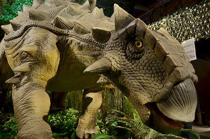 アンキロサウルス 連結したトカゲ 太古レストランDINOSAUR.jpg