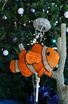 カクレクマノミ 海のクリスマスツリー 新江ノ島水族館.jpg