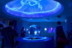 クラゲファンタジーホール 海月の空 新江ノ島水族館.jpg