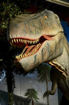 ティラノサウルス 太古レストランDINOSAUR 大和市.jpg